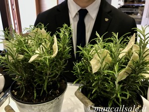 Foto 18-03-17, 19 37 21