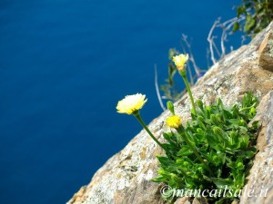 Foto 20-05-15 21 37 42