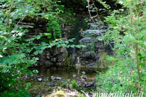 Foto 20-06-17, 10 28 23