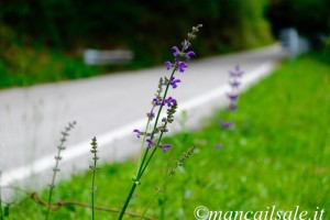Foto 20-06-17, 10 28 29