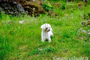 Foto 20-06-17, 10 28 38