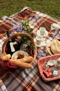 Picnic3