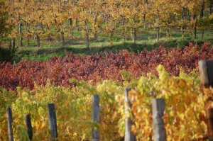 autunno