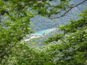 IMG_2043