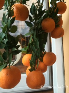 Foto 22-12-15 09 40 27