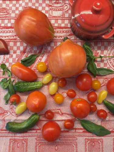 pomodori