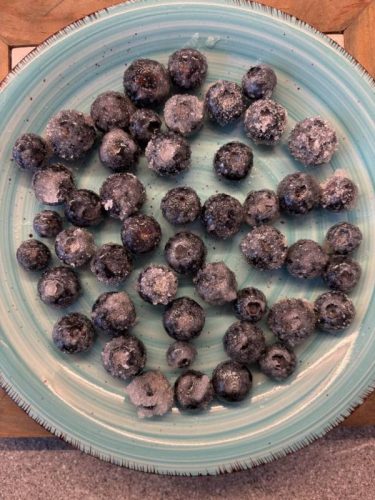 pavlova monoporzione