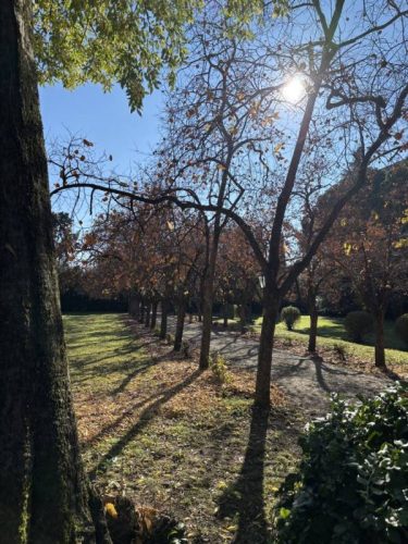 Foto 09-11-25, 12 41 07