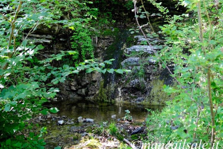 Foto-20-06-17-10-28-23.jpg
