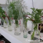 Foto-20-06-17-10-29-38
