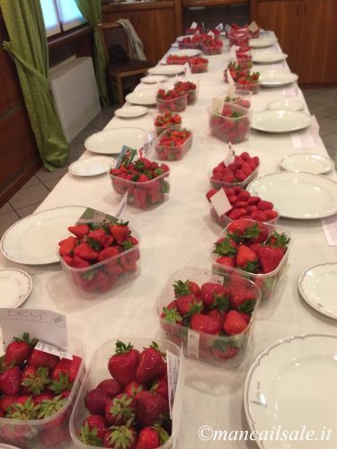 Foto-26-05-16-13-43-31.jpg