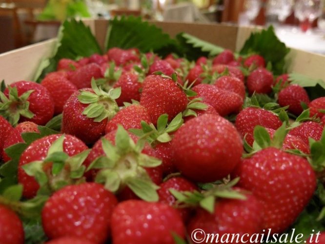 Foto-26-05-16-13-43-47-1.jpg