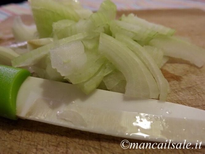 Foto8.jpg
