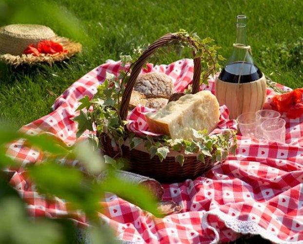 Picnic6-1.jpg