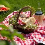 Picnic6
