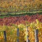 autunno